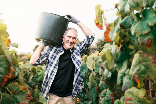 Producteur de vin de la vallée du rhône : domaine martin et son héritage